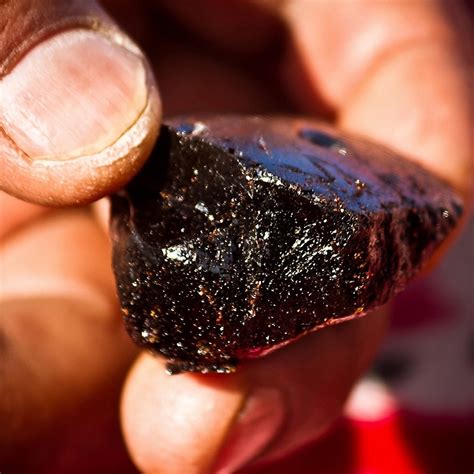 40+ Days of Taking Shilajit — Here’s My Brutally .